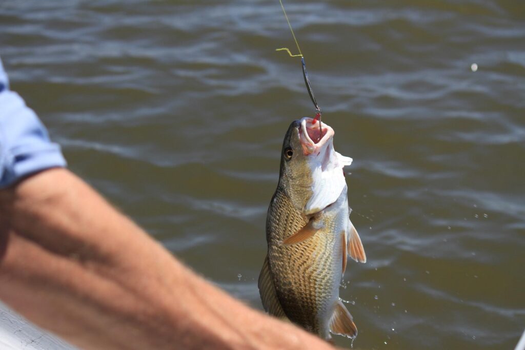 Codese Manaus anuncia a realização da 1º Feira de Pesca Esportiva, Ecoturismo e Turismo de Aventura da Amazônia 