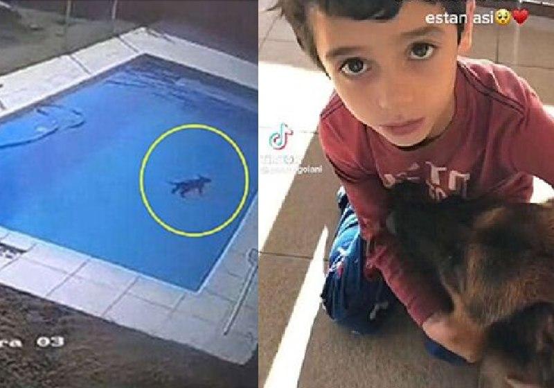 Menino herói de 5 anos pula em piscina e resgata cão no frio de 5°C 