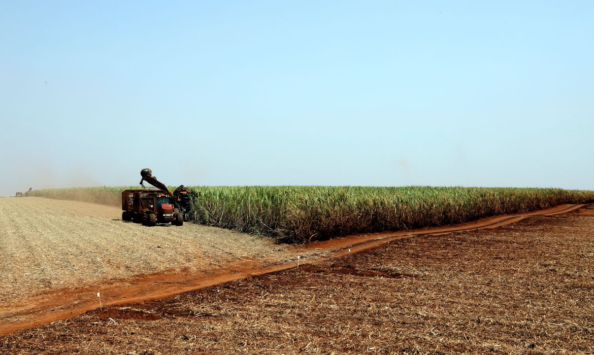 Brasil e Japão assinam acordo para desenvolver agricultura digital