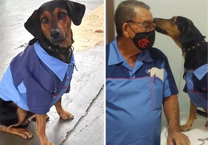 Cachorrinho salvo e adotado por frentistas ganha até uniforme!