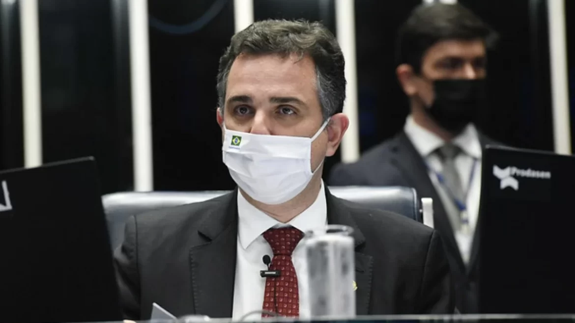 'Veto de Bolsonaro à cultura deve ser derrubado', diz Pacheco