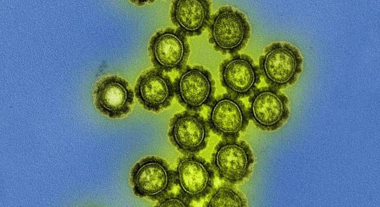 Vírus da gripe ataca coração, causa avarias elétricas e deixa cicatrizes, revela estudo americano