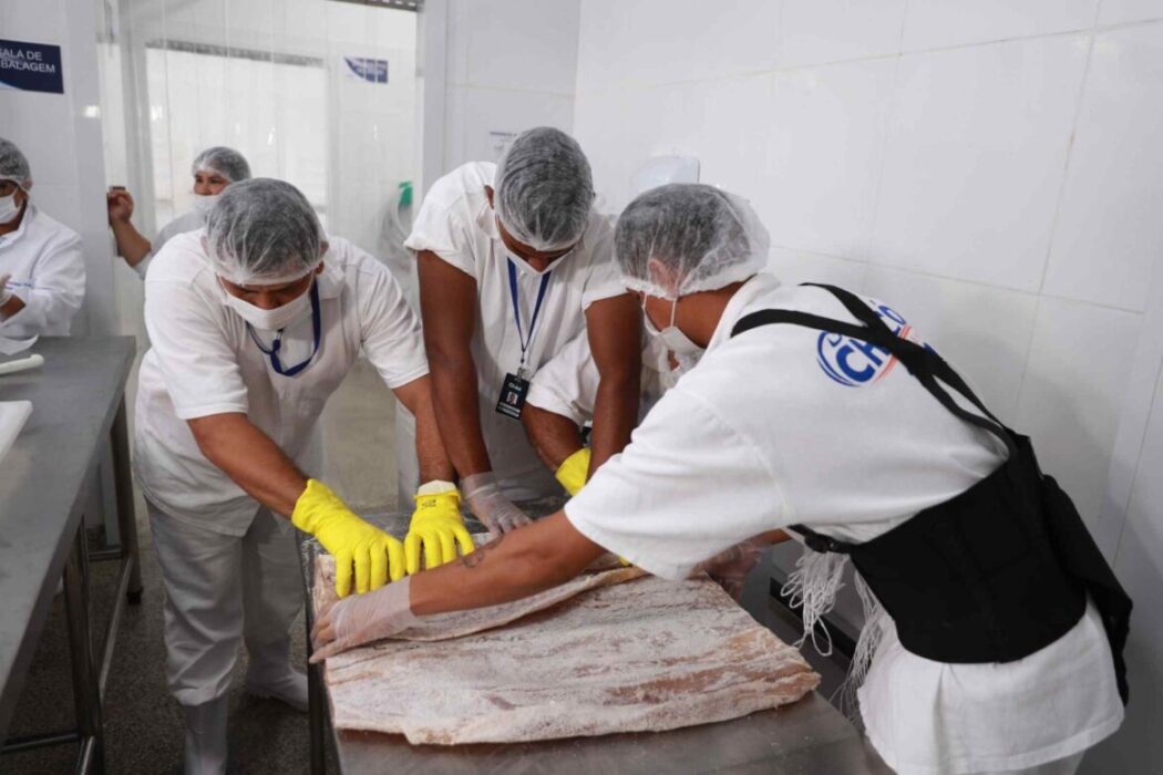 Governo do Amazonas certifica primeira fábrica para atender mercado nacional de peixe