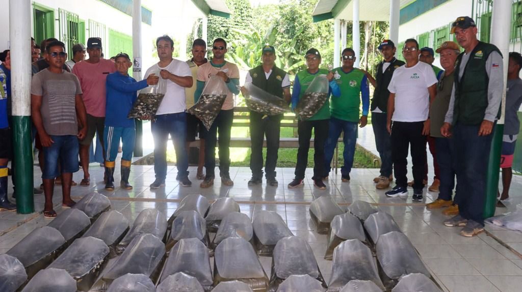 Governo do Amazonas entrega 50 mil alevinos de tambaqui para piscicultores da região do Juruá