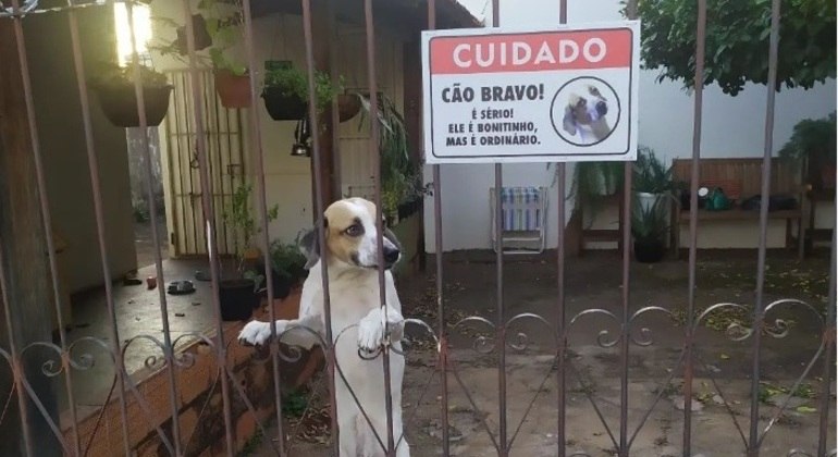 Bonitinho, mas ordinário', placa com o alerta sobre cão feroz bomba na web