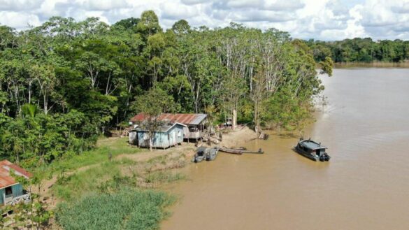 Perícia em restos mortais pode definir se Dom e Bruno foram assassinados