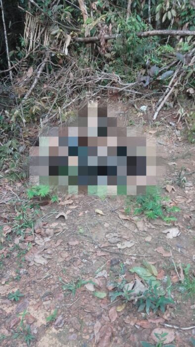 Corpo carbonizado é encontrado em área de mata