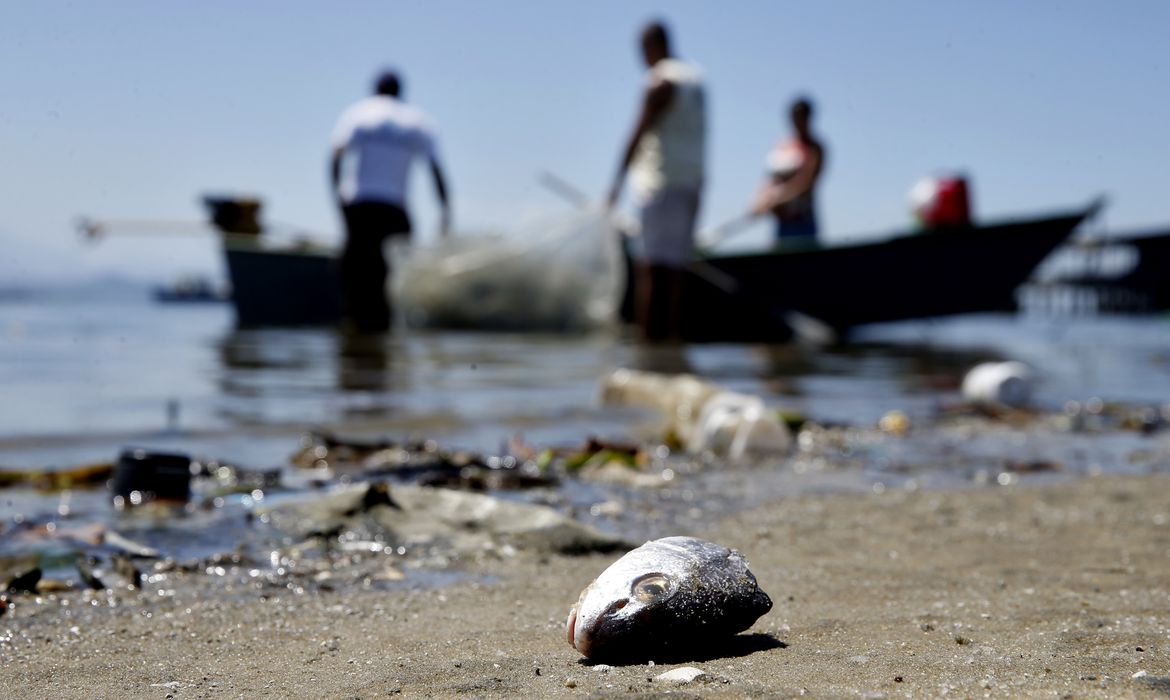 Mais de 12 mil licenças de pescadores profissionais são suspensas