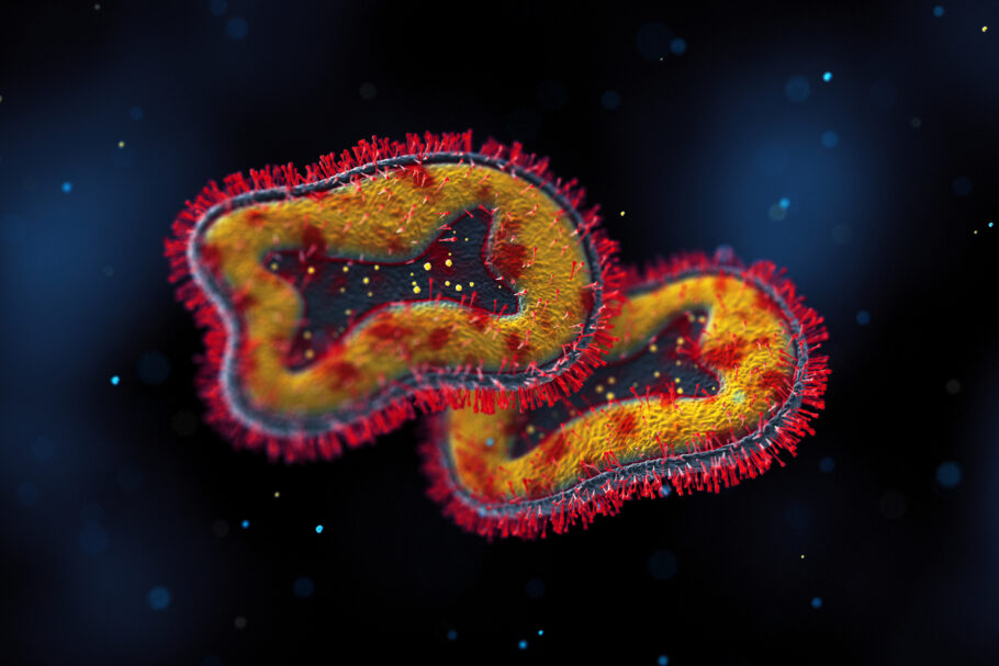 Entenda quais são as vias de transmissão da varíola do macaco