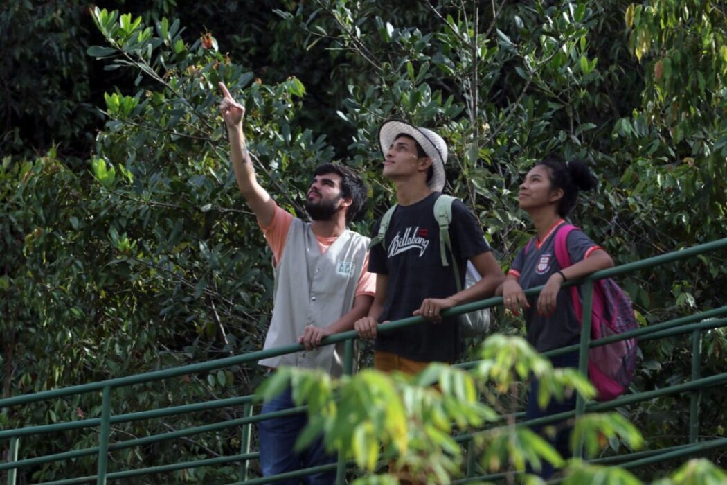 Parque Estadual Sumaúma terá programação especial no Dia Mundial do Meio Ambiente