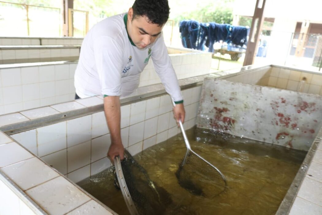 Governo do Amazonas entrega insumos para fortalecer cadeia da piscicultura