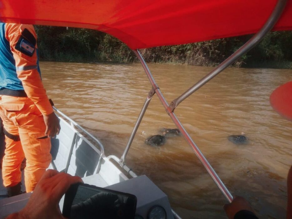 Benjamin Constant, PC-AM devolve à natureza animais que foram apreendidos em ação policial