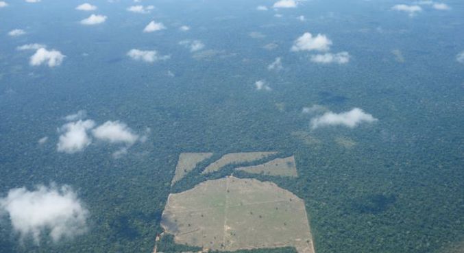 Amazônia perde 2 mil campos de futebol por dia em 2022, diz Imazon