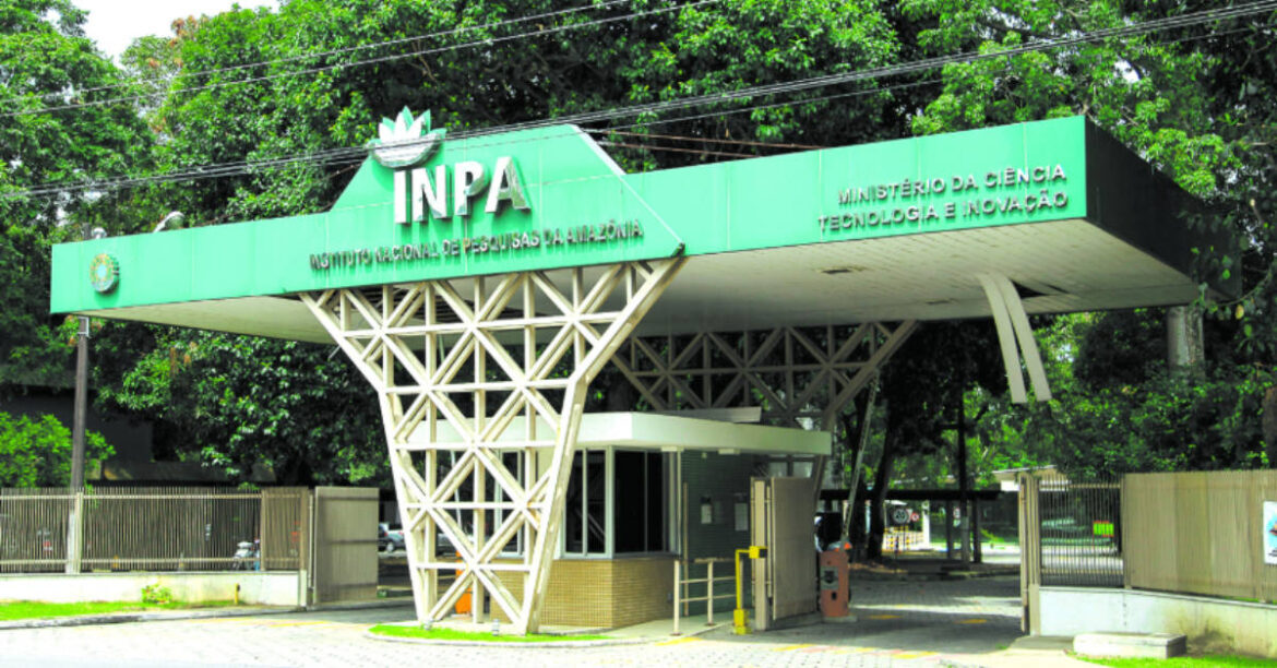 Dez pesquisadores do Inpa são destaque no Brasil em ranking da Research na área de Ecologia e Evolução