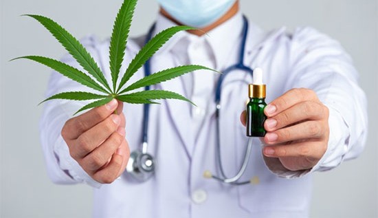 Uso medicinal de maconha: conheça os impactos na indústria da saúde.