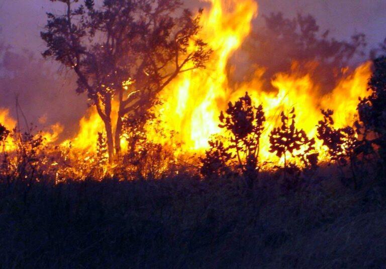 Governo anuncia R$ 514 milhões para combater incêndios florestais