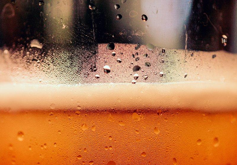 Cerveja reforça bactérias benéficas e melhora saúde intestinal