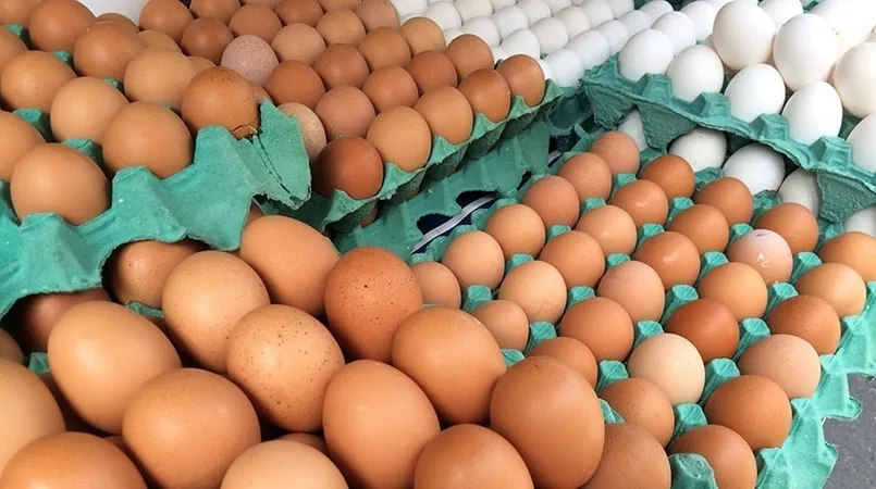 Preço do ovo está mais de 200% acima da inflação, aponta estudo
