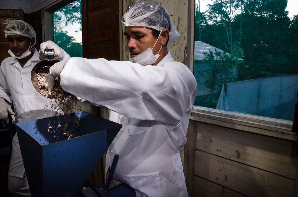 Incubadora de bioeconomia do interior do Amazonas ganha certificação nacional