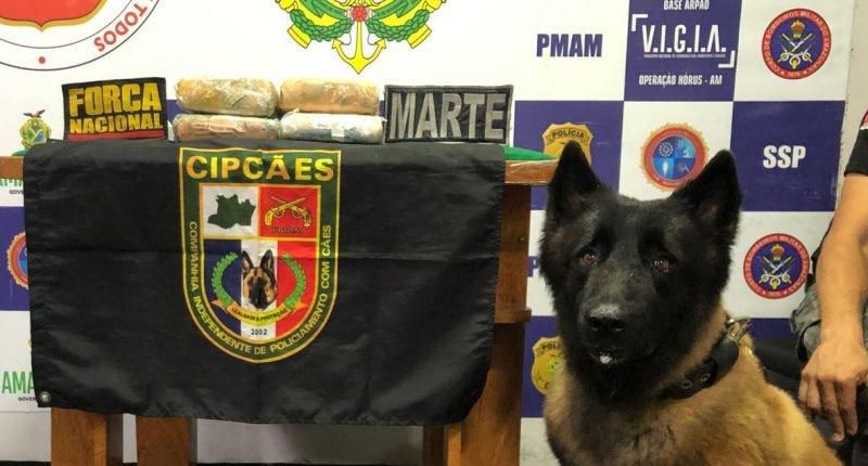 Policiais encontram maconha durante revista em embarcação 