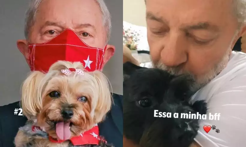 Lula entra para trend do TikTok com música de Luísa Sonza