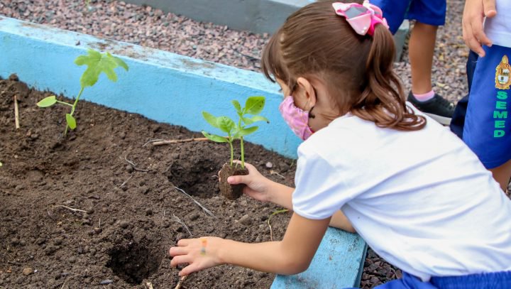 Unidade escolar da Prefeitura de Manaus realiza plantio de mudas em parceria com o Inpa