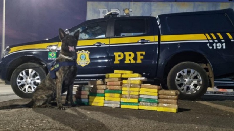 Mais de 46 kg de cocaína são apreendidos pela PRF em caminhonete