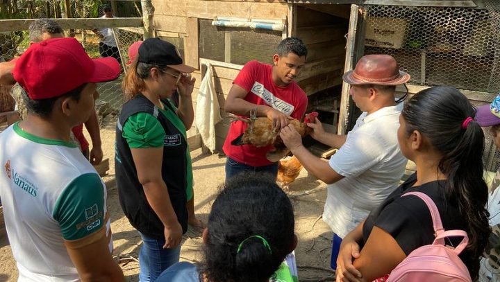 Prefeitura de Manaus promove curso de ‘Boas Práticas para a  Avicultura’ para criadores do Alto Rio Negro