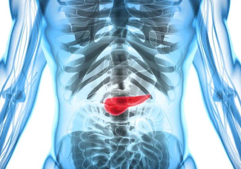 Câncer de pâncreas: cientistas brasileiros descobrem proteína que freia doença