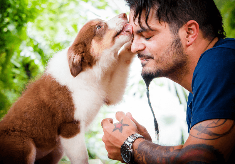 Empatia canina: cães sentem o que donos estão sentindo, comprova estudo