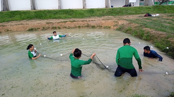 Pesquisadores desenvolvem ração sustentável para peixes a partir de resíduos descartados pelas agroindústrias