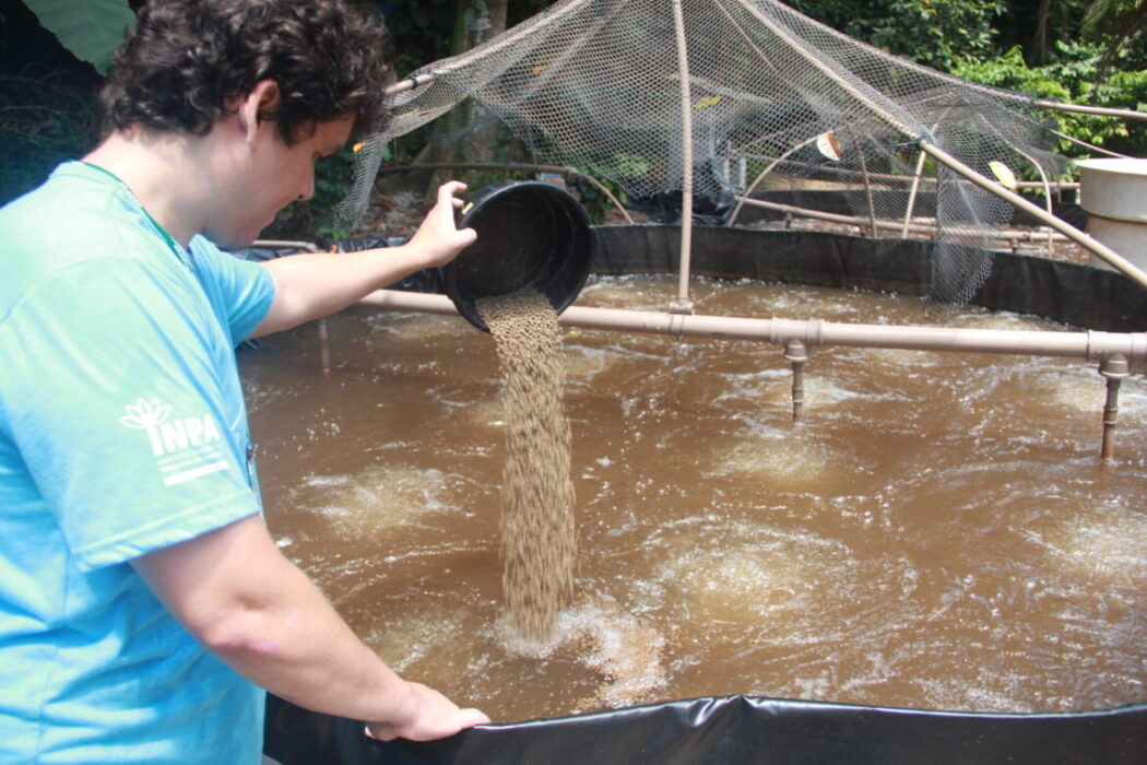 Inpa abre inscrições para curso sobre tecnologia de bioflocos para criação de peixes amazônicos