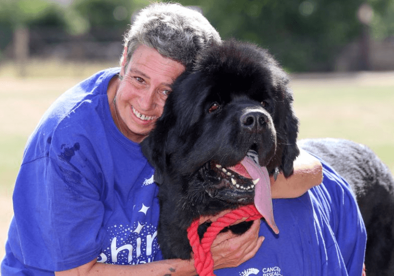 Cão adotado consegue ‘farejar’ câncer de mama na tutora. ‘Me salvou’