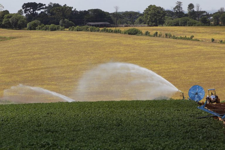 Projeto abre crédito de R$ 2,5 milhões para apoiar pequenos e médios produtores rurais