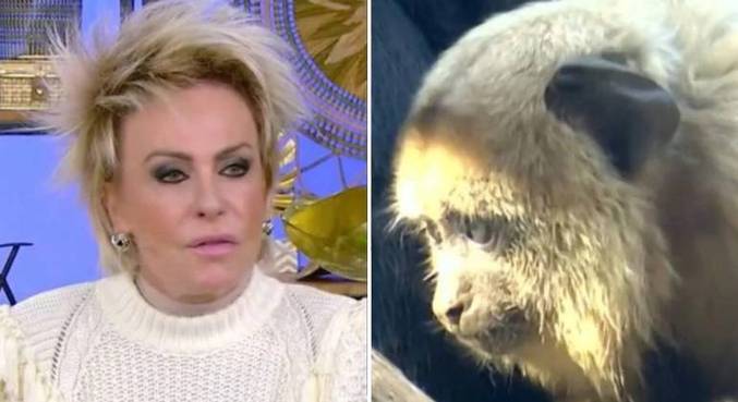 Ana Maria Braga anuncia demissão de funcionário responsável por exibir imagens de macaco em VT