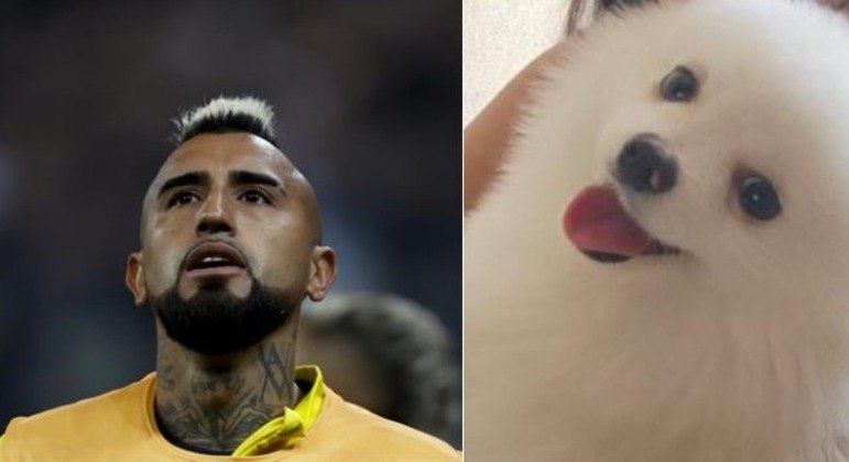 Arturo Vidal oferece recompensa milionária por cão desaparecido