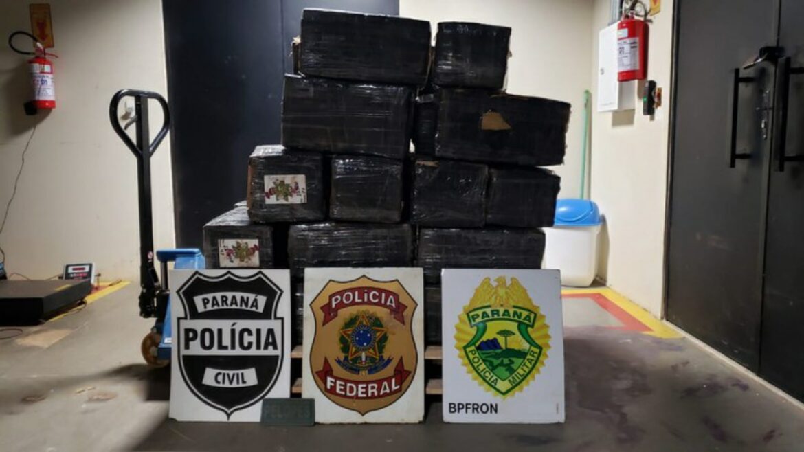 Ação integrada encontra mais de 800 quilos de maconha em malas na mata