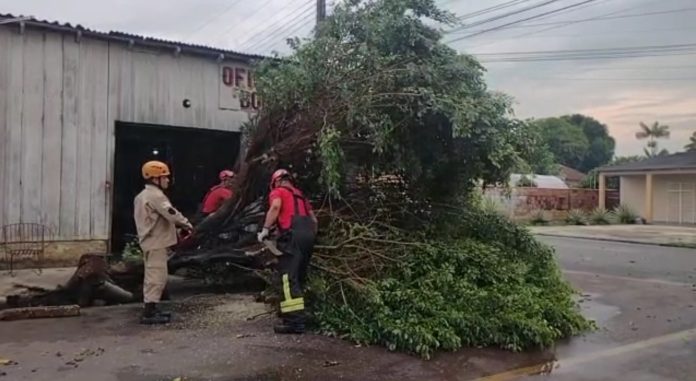 Temporal causa estragos em vários bairros de Parintins