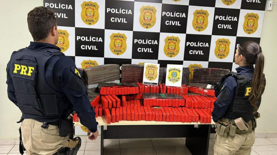 Nova apreensão de drogas dá baque de quase R$ 450 mil ao tráfico