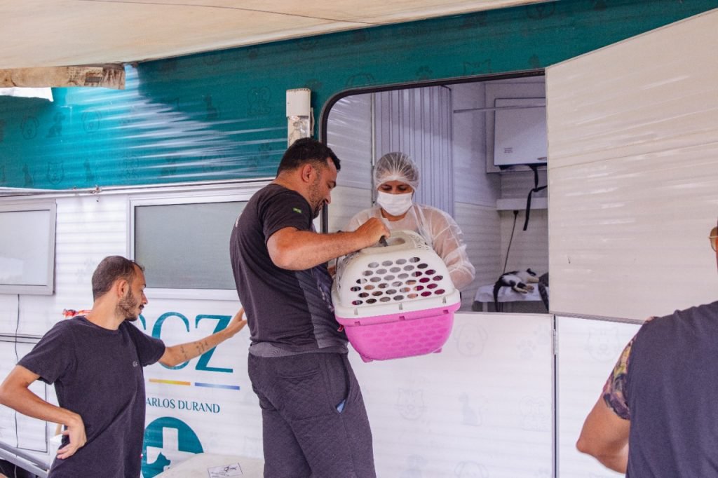 Prefeitura de Manaus divulga calendário para agendamento de castração de cães e gatos