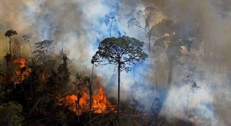 Desmatamento na Amazônia Legal caiu 11% no último ano, diz Inpe