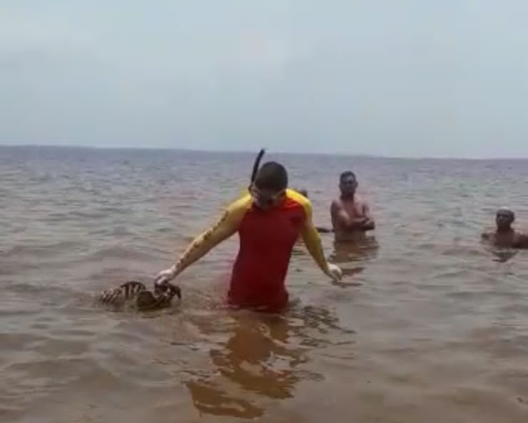 IML analisa esqueleto humano achado na praia da Ponta Negra