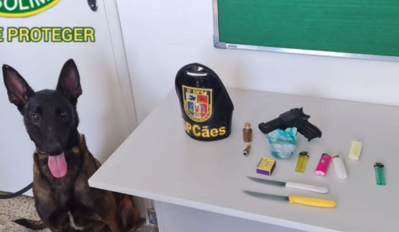 Polícia encontra drogas, arma falsa e facas durante revista em escola 