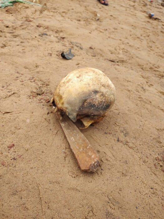 Crânio é encontrado em praia no município de Maués