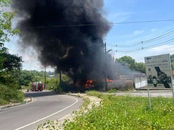 Incêndio atinge área de mata e assusta moradores no Distrito Industrial 