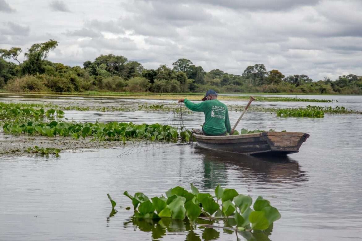 Defeso avança em Rondônia com ações de educação ambiental e fiscalização