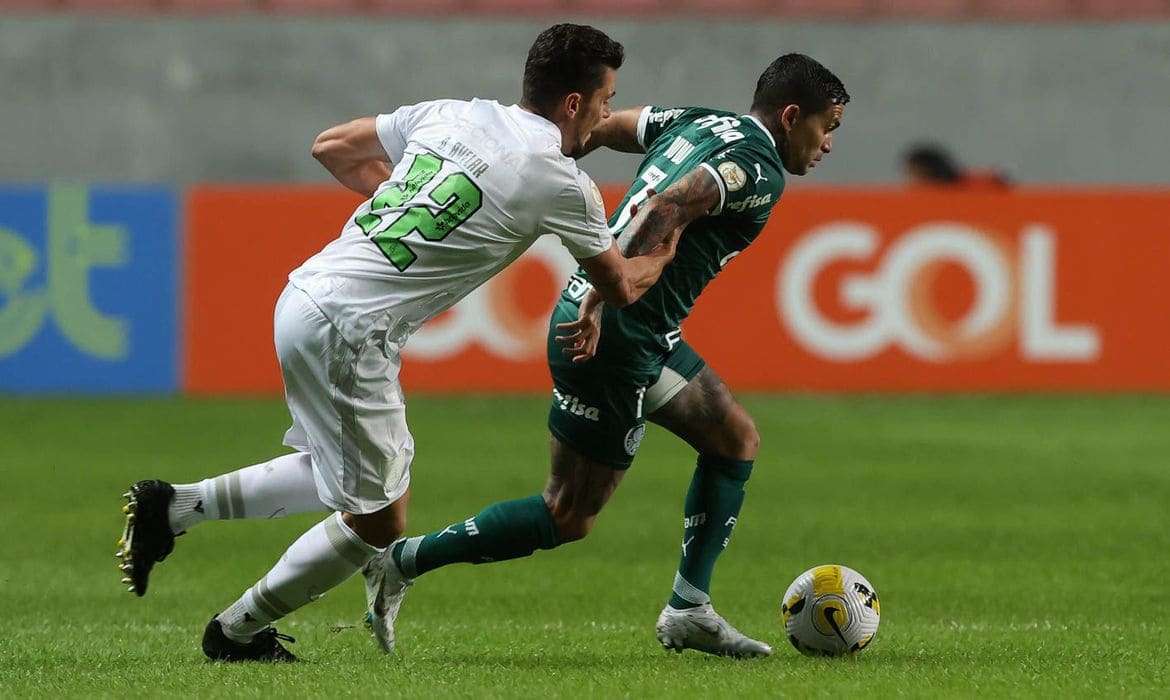 Palmeira recebe o América-MG no jogo de entrega da taça