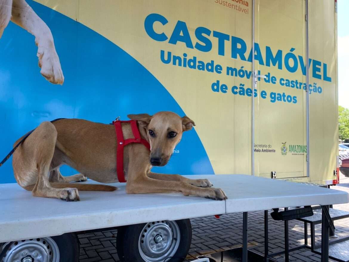 Castramóvel do Governo do Estado atinge marca de 10 mil castrações realizadas