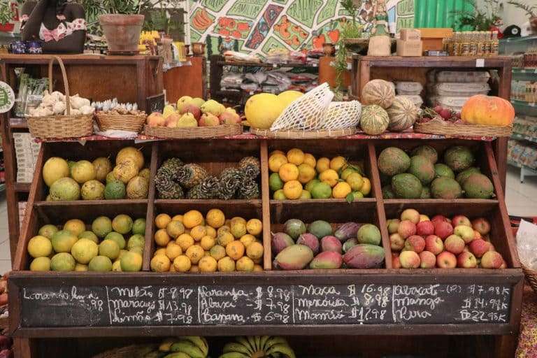 Frente parlamentar promove debate sobre produção de bioinsumos no Brasil