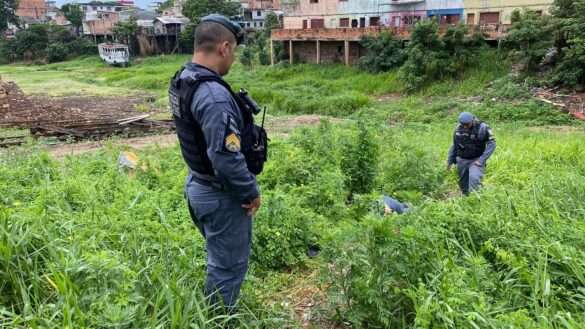 Homem é morto no centro de Manaus